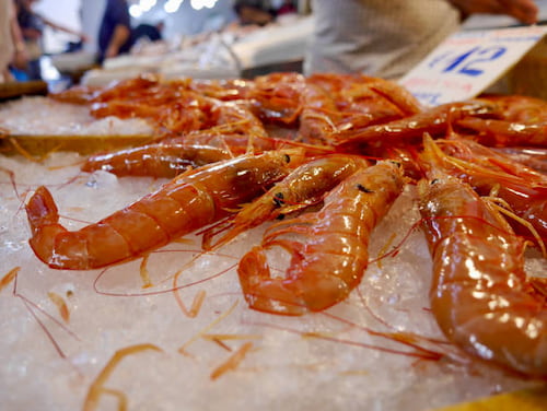 خرید میگو پرورشی سایز 110 + خرید عمده